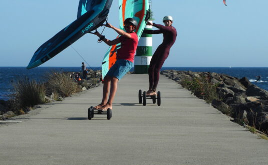 Wing Skate