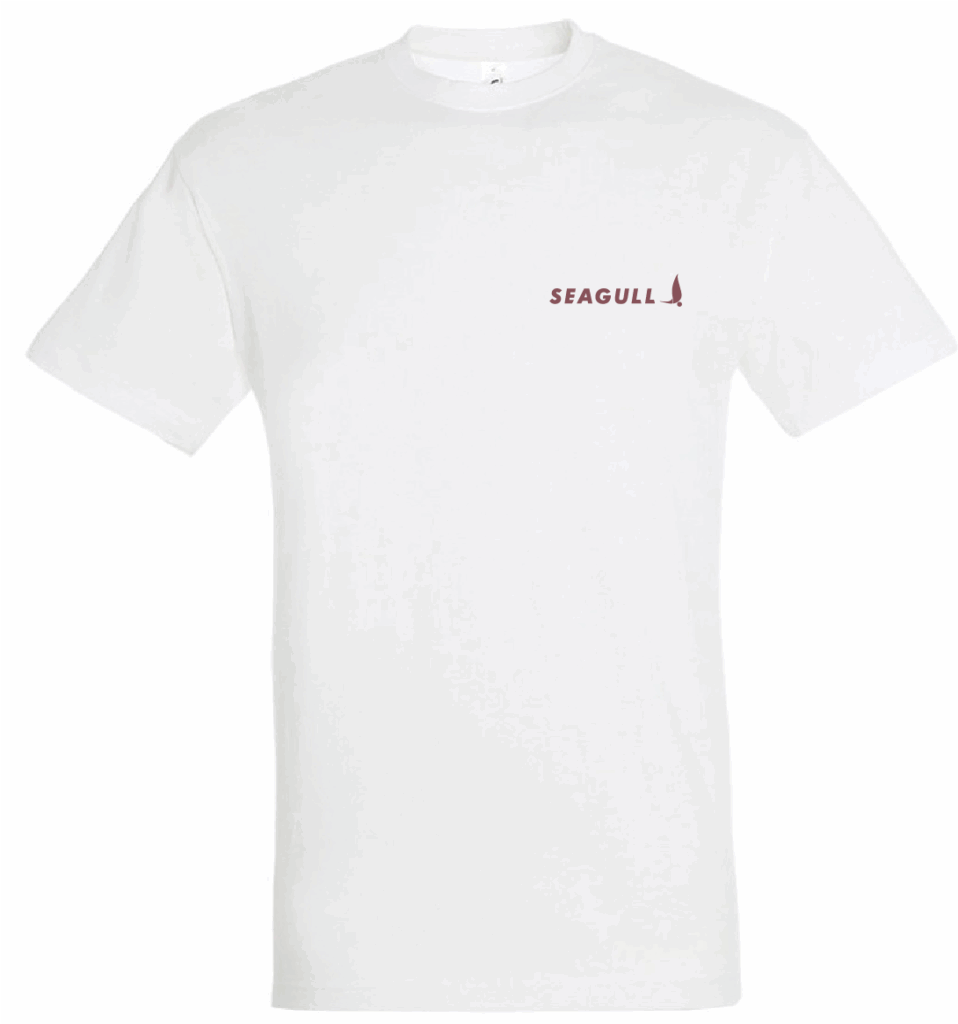 Tee-Shirt BLANC Crazy Ludic