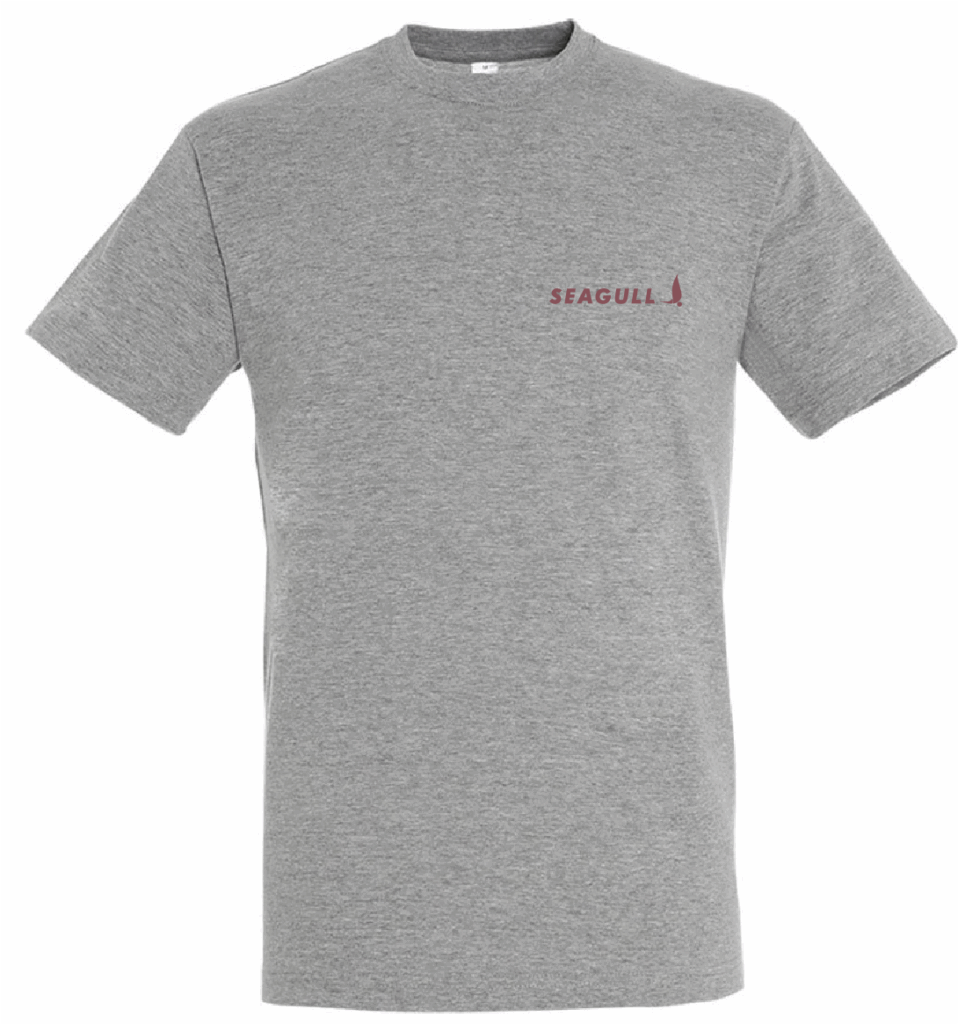 Tee-Shirt GRIS Crazy Ludic