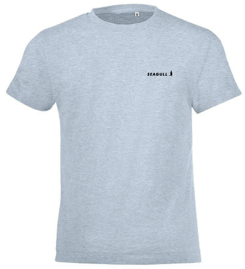 Tee-Shirt GRIS KIDS Crazy Ludic Rose